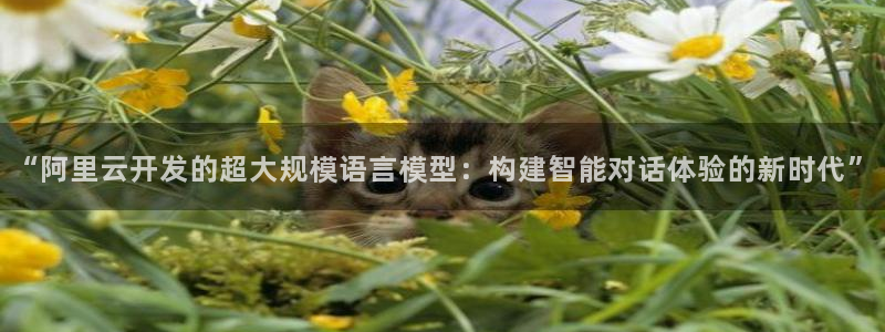 美狮贵宾会在线下载：“阿里云开发的超大规模语言模型：构建智能对话体验的新时代”
