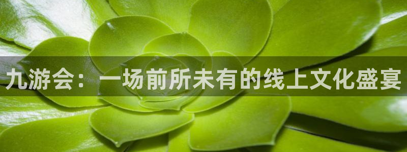 美狮贵宾会预测在线预测：九游会：一场前所未有的线上文化盛宴