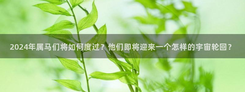 美狮贵宾会赏金女王：2024年属马们将如何度过？他们即将迎来一个怎样的宇宙轮回？