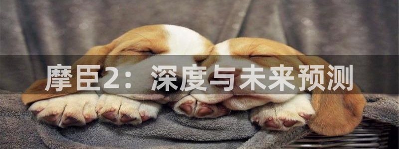 美狮贵宾会下载官网入口在哪：摩臣2：深度与未来预测