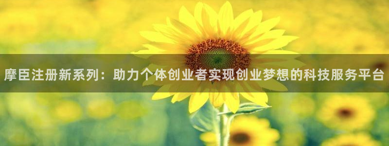 美狮贵宾会平台：摩臣注册新系列：助力个体创业者实现创业梦想的科技服务平台