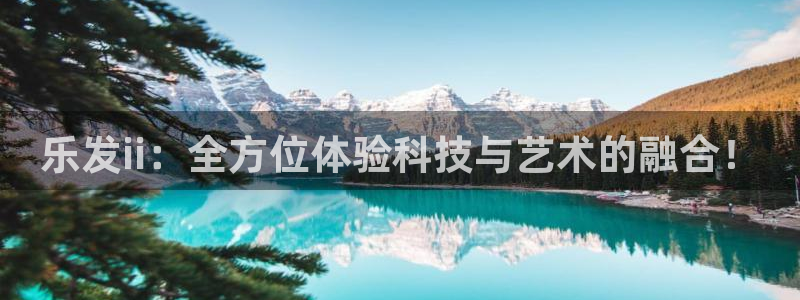 美狮贵宾会注册平台：乐发ii：全方位体验科技与艺术的融合！