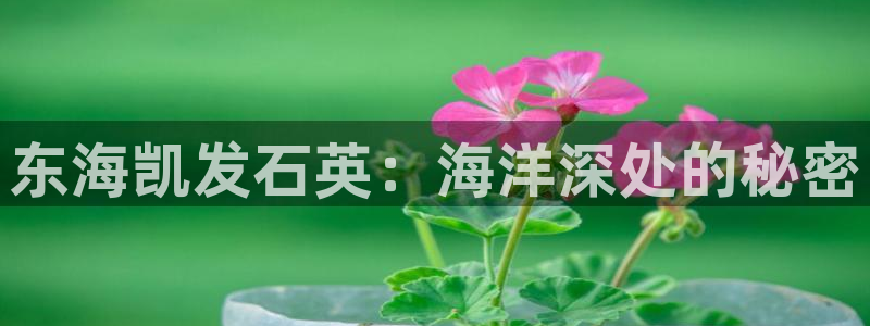 美狮贵宾会包怎么样：东海凯发石英：海洋深处的秘密