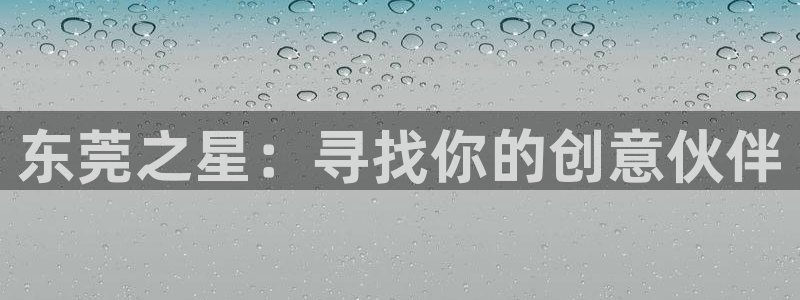 下载美狮贵宾会：东莞之星：寻找你的创意伙伴