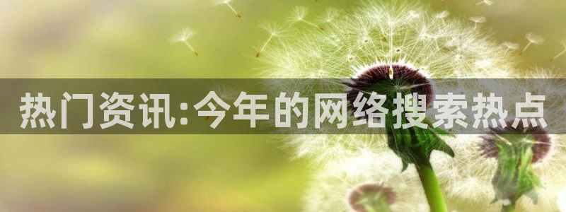 美狮贵宾会：热门资讯:今年的网络搜索热点