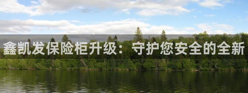 美狮贵宾会怎么下载：鑫凯发保险柜升级：守护您安全的全新