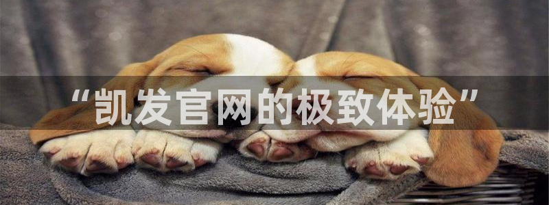 美狮贵宾会手机版下载：“凯发官网的极致体验”