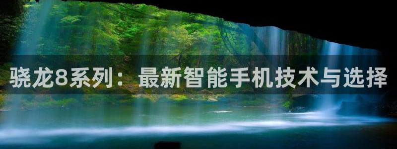 美狮贵宾会4开户：骁龙8系列：最新智能手机技术与选择