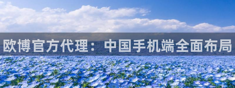 下载美狮贵宾会：欧博官方代理：中国手机端全面布局