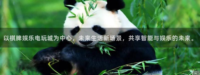 美狮贵宾会官网版下载：以棋牌娱乐电玩城为中心，未来生活新场景，共享智能与娱乐的未来。