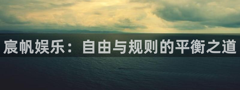 美狮贵宾会网站平台：宸帆娱乐：自由与规则的平衡之道