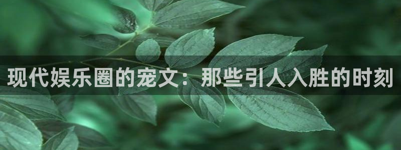 美狮贵宾会包怎么样：现代娱乐圈的宠文：那些引人入胜的时刻