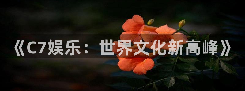 美狮贵宾会体育4：《C7娱乐：世界文化新高峰》