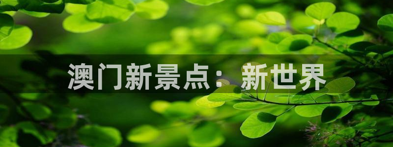 美狮贵宾会平台链接：澳门新景点：新世界