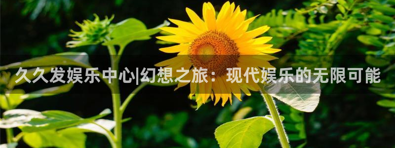 美狮贵宾会赏金女王：久久发娱乐中心|幻想之旅：现代娱乐的无限可能