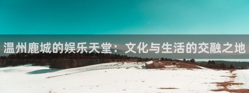美狮贵宾会平台官方网站：温州鹿城的娱乐天堂：文化与生活的交融之地