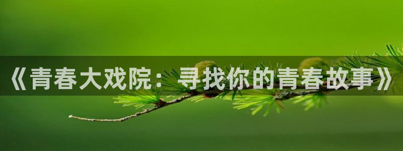 美狮贵宾会官网注册：《青春大戏院：寻找你的青春故事》