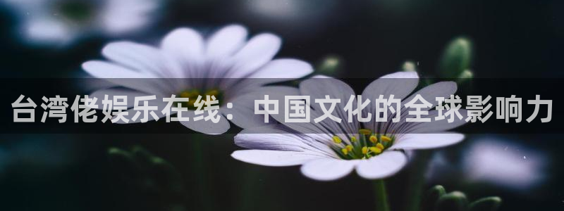 美狮贵宾会.ccmpc正版官网版下载：台湾佬娱乐在线：中国文化的全球影响力