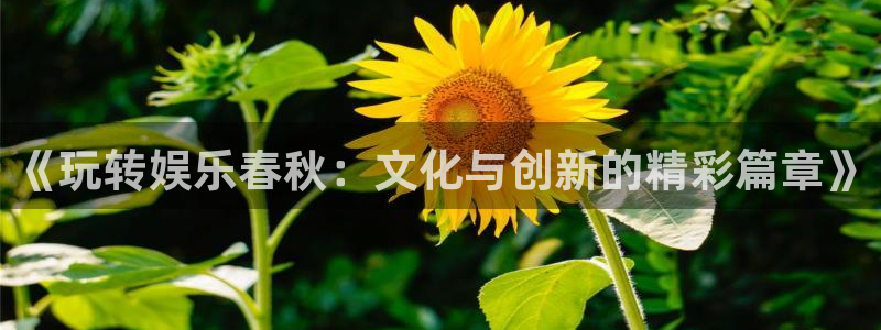 佛山市南海美狮贵宾会机电仪器有限公司：《玩转娱乐春秋：文化与创新的精彩篇章》