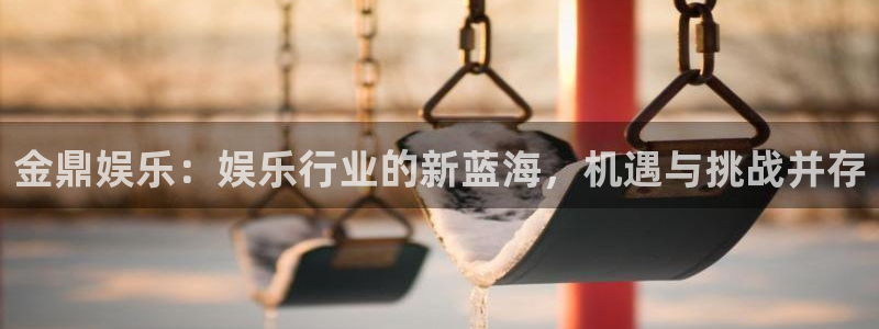 美狮贵宾会平台官网版最新：金鼎娱乐：娱乐行业的新蓝海，机遇与挑战并存