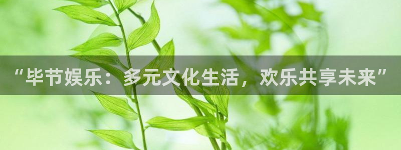 美狮贵宾会是正规平台吗：“毕节娱乐：多元文化生活，欢乐共享未来”
