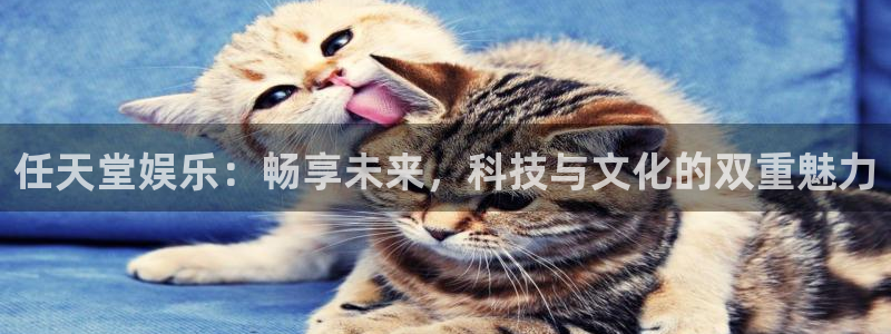 美狮贵宾会平台官网版最新：任天堂娱乐：畅享未来，科技与文化的双重魅力