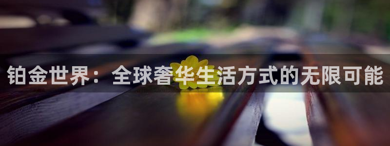 美狮贵宾会下载地址：铂金世界：全球奢华生活方式的无限可能
