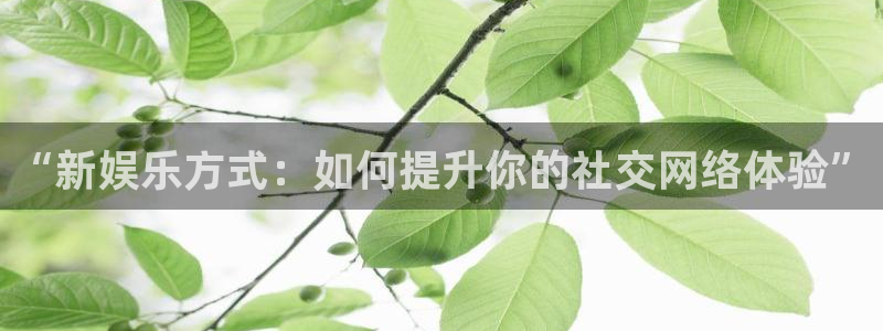 美狮贵宾会网站登录流程：“新娱乐方式：如何提升你的社交网络体验”