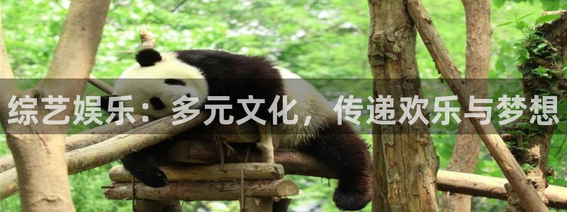 美狮贵宾会体育官网注册：综艺娱乐：多元文化，传递欢乐与梦想