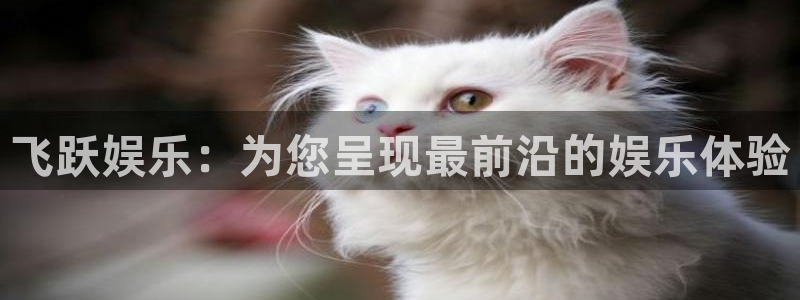 美狮贵宾会体育注册平台：飞跃娱乐：为您呈现最前沿的娱乐体验