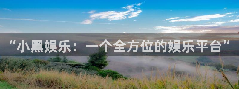 美狮贵宾会平台总代理：“小黑娱乐：一个全方位的娱乐平台”