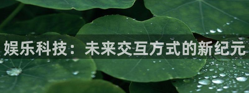 美狮贵宾会4登录：娱乐科技：未来交互方式的新纪元