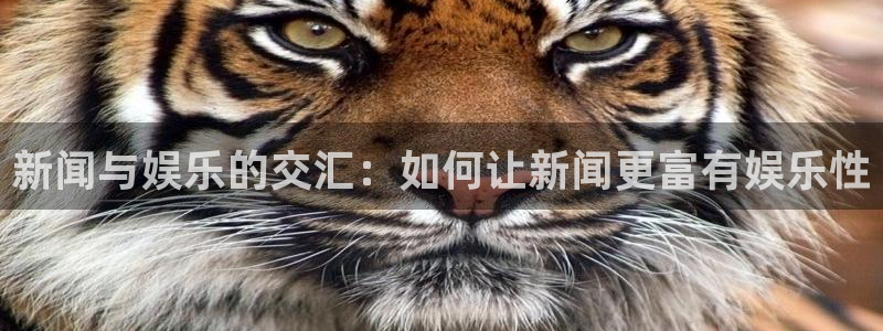 美狮贵宾会体育凯捷代理注册：新闻与娱乐的交汇：如何让新闻更富有娱乐性