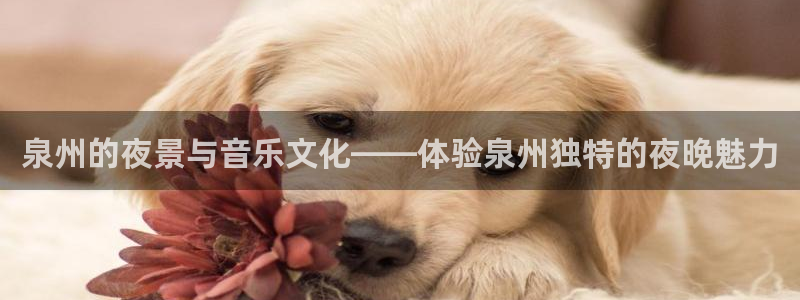 成都美狮贵宾会电子有限公司：泉州的夜景与音乐文化——体验泉州独特的夜晚魅力