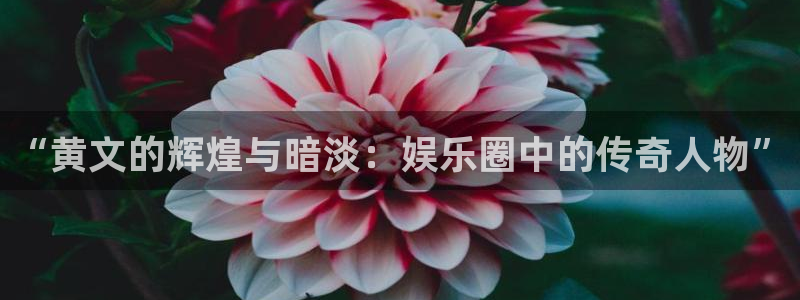 美狮贵宾会5招商：“黄文的辉煌与暗淡：娱乐圈中的传奇人物”