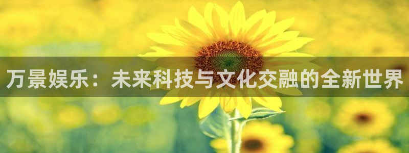 美狮贵宾会体育免费注册入口：万景娱乐：未来科技与文化交融的全新世界
