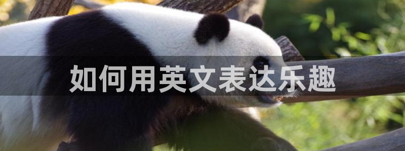美狮贵宾会游戏试玩：如何用英文表达乐趣