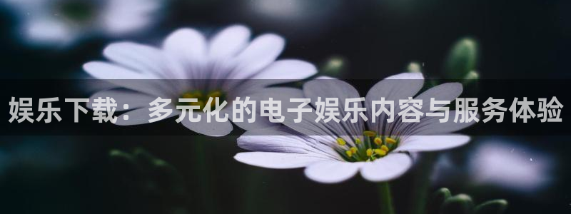 美狮贵宾会下载并安装：娱乐下载：多元化的电子娱乐内容与服务体验