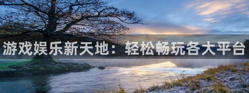 美狮贵宾会平台开户链接：游戏娱乐新天地：轻松畅玩各大平台