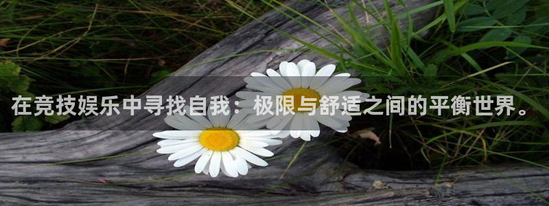 美狮贵宾会4：在竞技娱乐中寻找自我：极限与舒适之间的平衡世界。