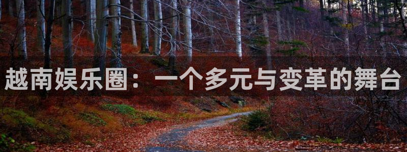 美狮贵宾会加拿大app预测：越南娱乐圈：一个多元与变革的舞台