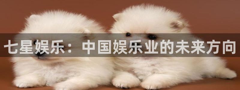美狮贵宾会登陆：七星娱乐：中国娱乐业的未来方向