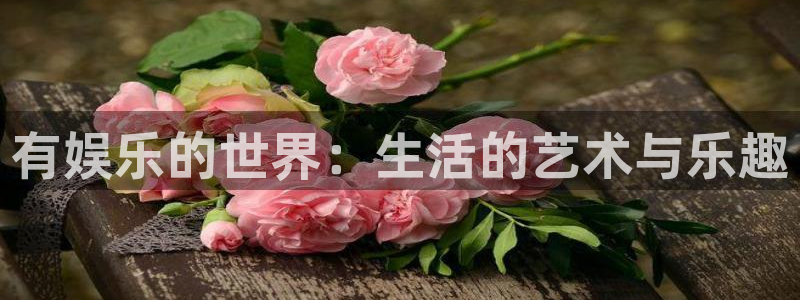 美狮贵宾会游戏试玩：有娱乐的世界：生活的艺术与乐趣